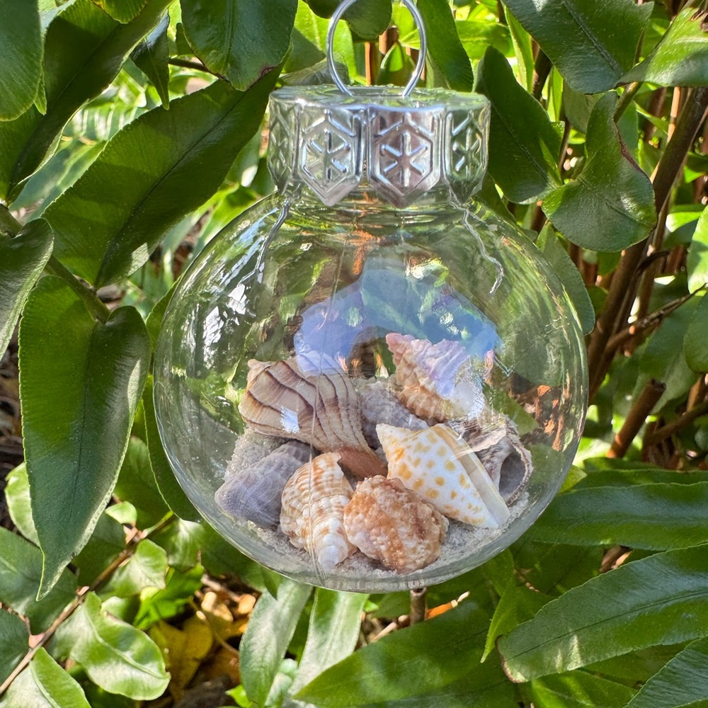 Florida Seashell Ornaments